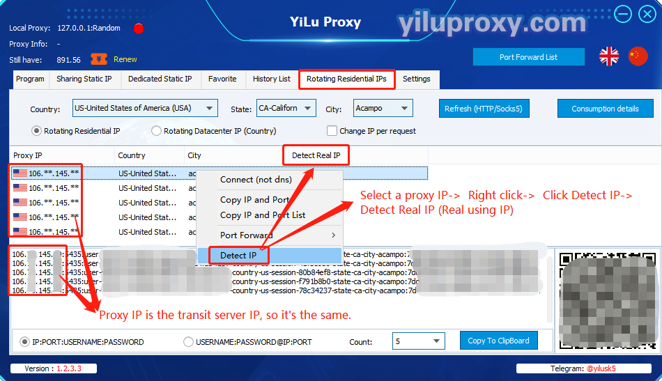 IPs extracted from rotating IP are all the same?
